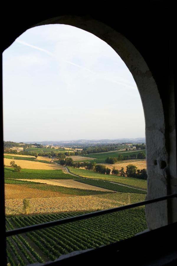 Chateau De Salettes 호텔 Cahuzac-sur-Vère 외부 사진