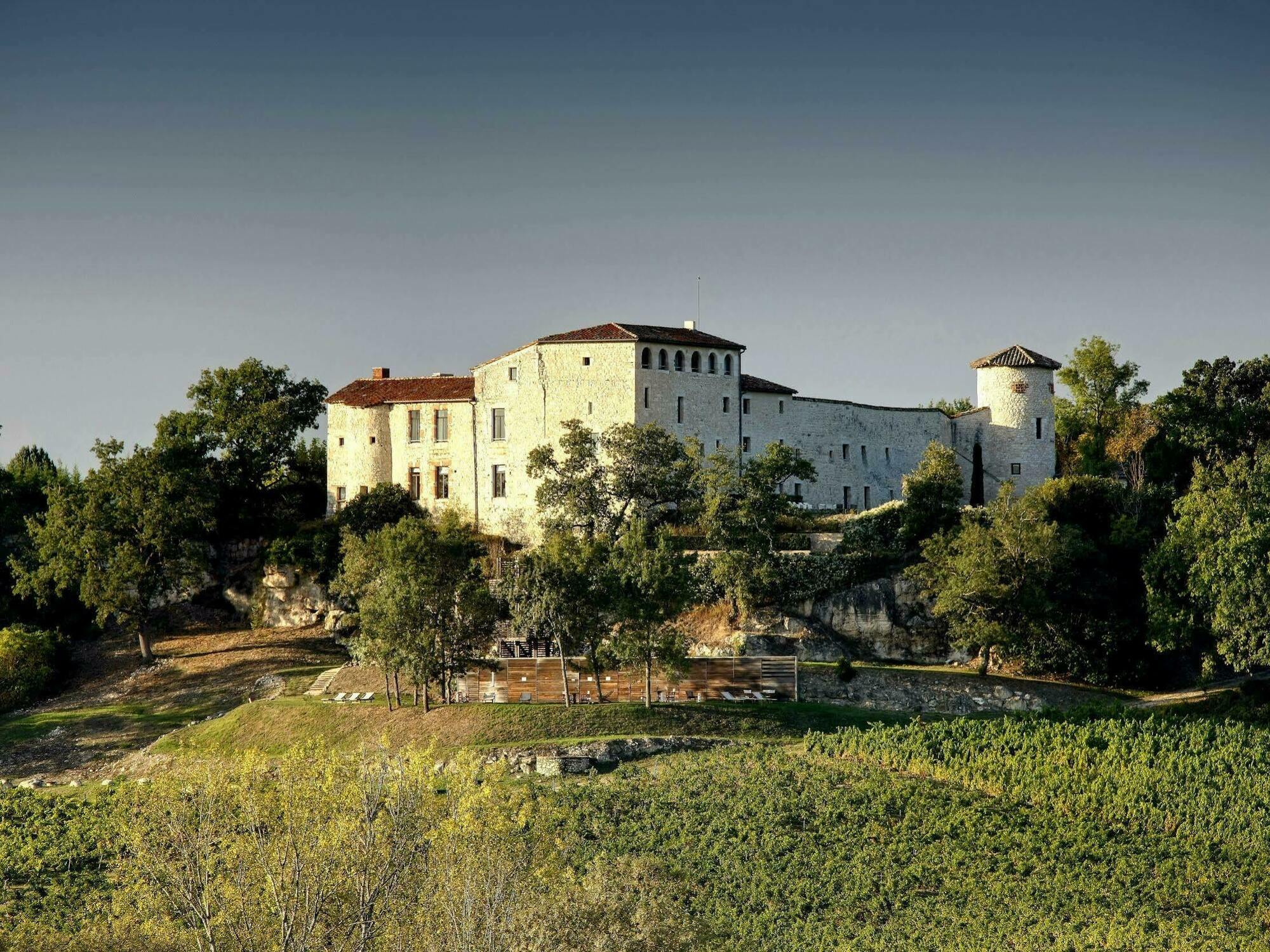 Chateau De Salettes Cahuzac-sur-Vère 외부 사진