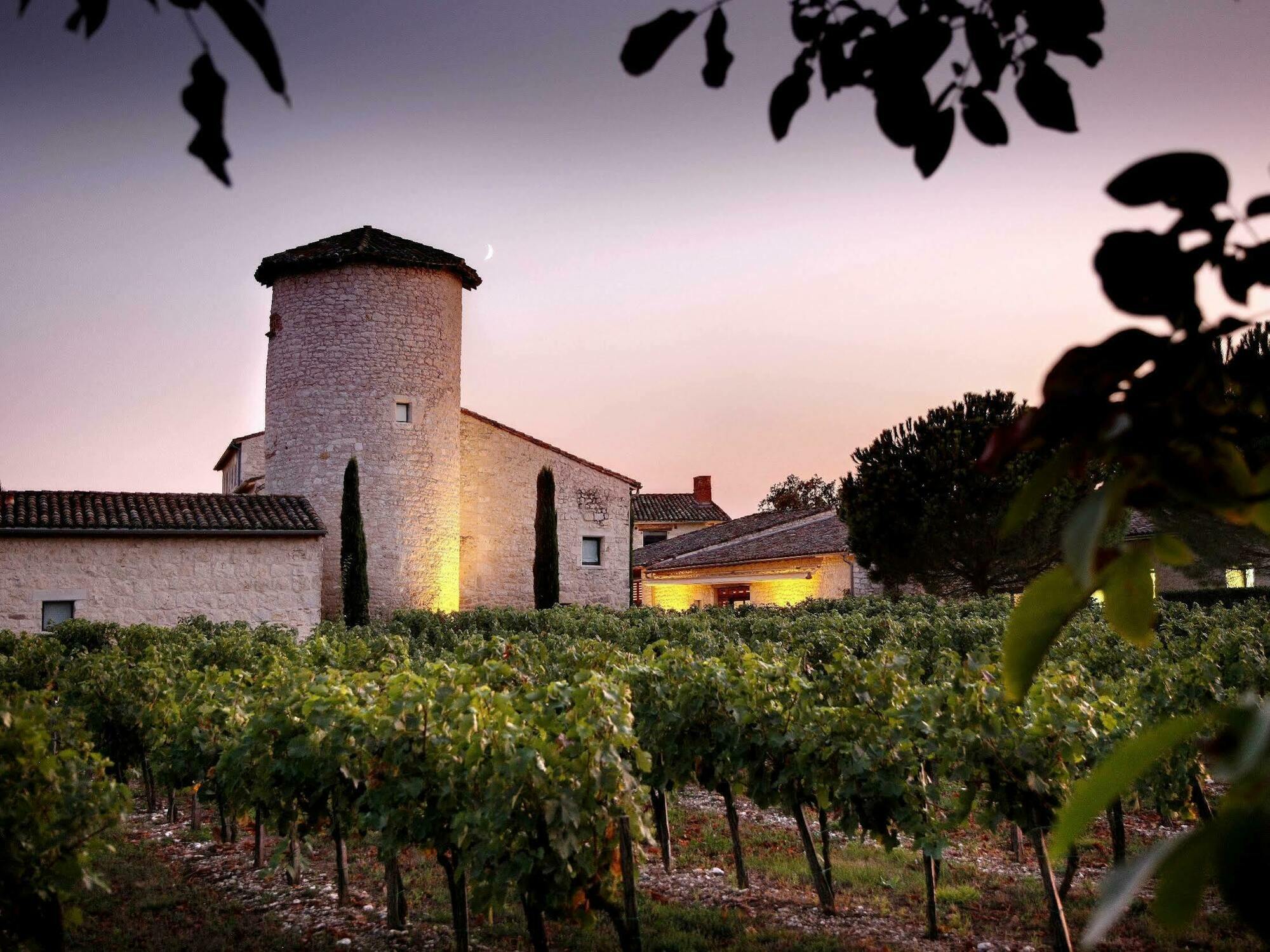 Chateau De Salettes Cahuzac-sur-Vère 외부 사진